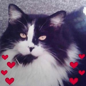 Meet your Posher, Wendi